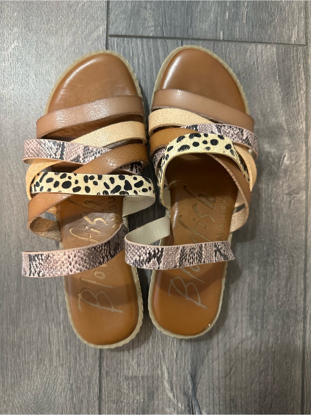 Blowfish Malibu Multicolor Sandal